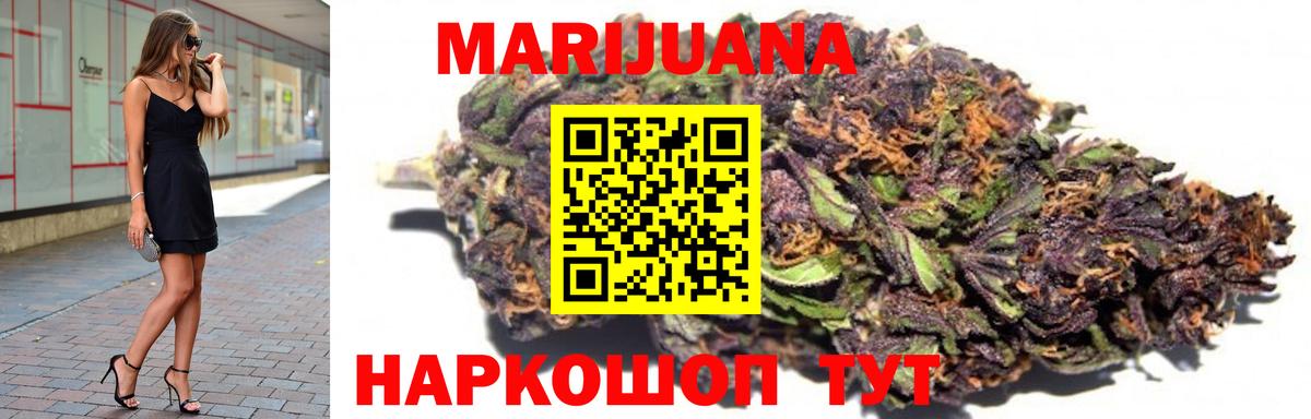 Конопля сатива Сланцы